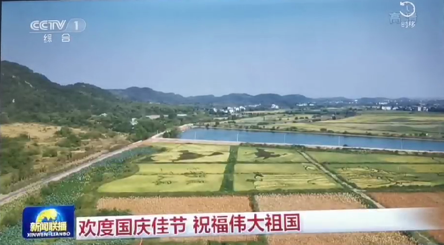 上央视-USDT数字钱包五彩稻田画，助力乡村振兴